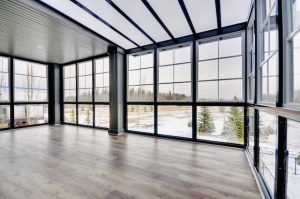 Commercial Window